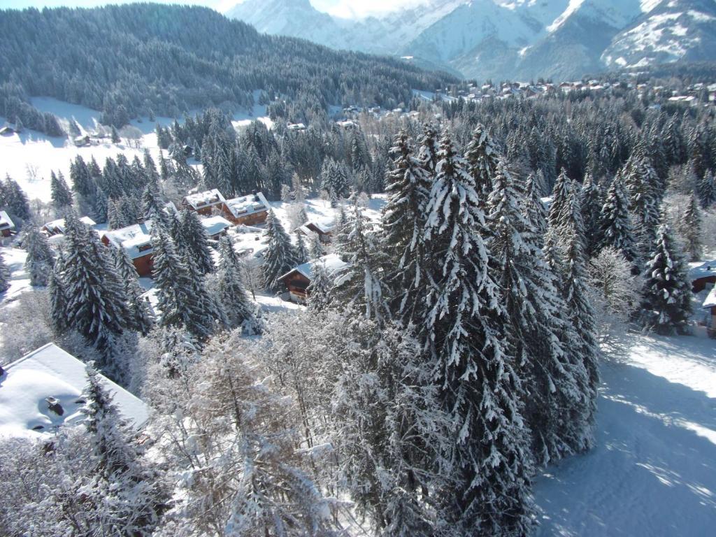 Ferienwohnung Petit Ours Villars-sur-Ollon Exterior foto
