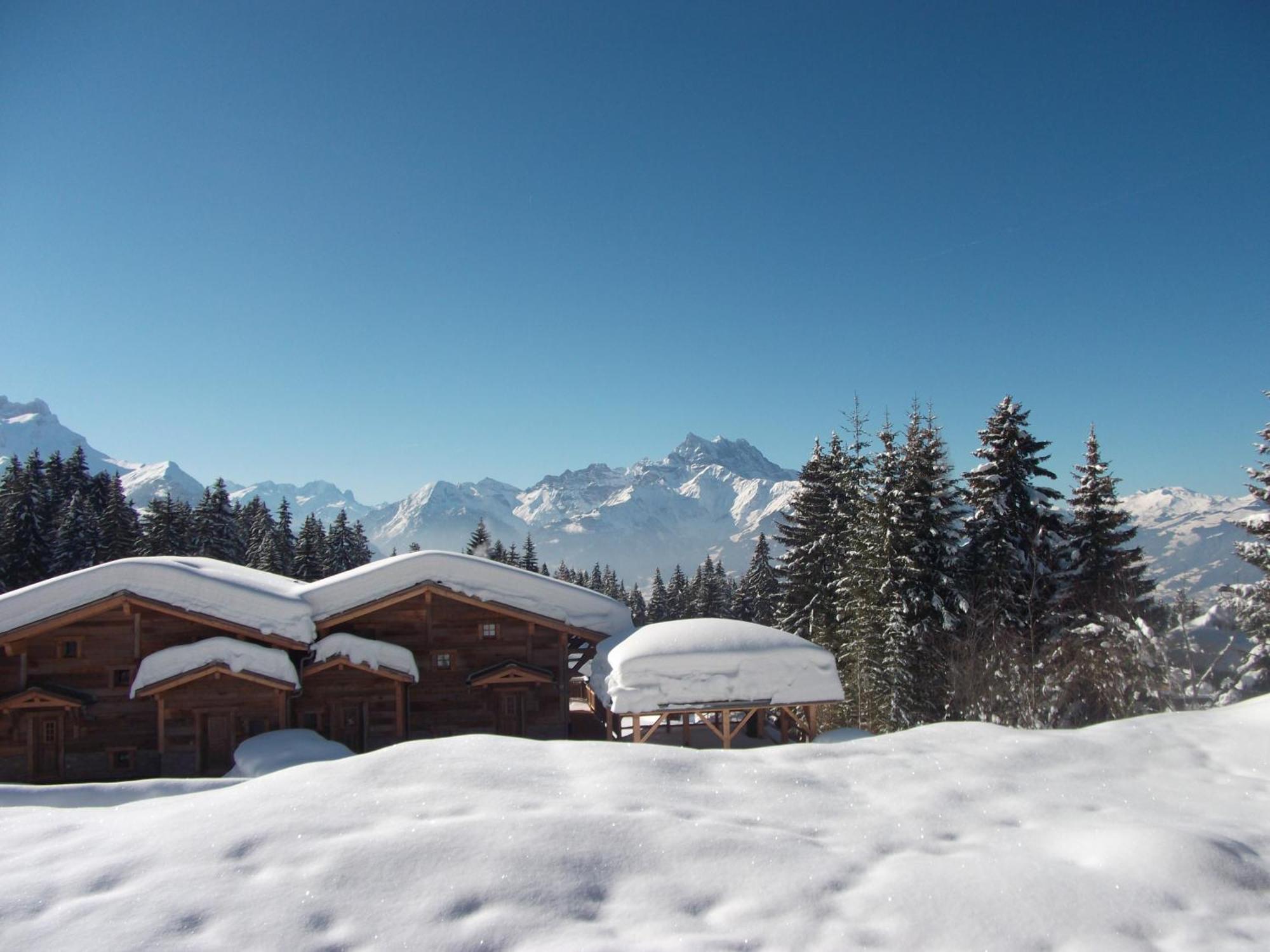 Ferienwohnung Petit Ours Villars-sur-Ollon Exterior foto